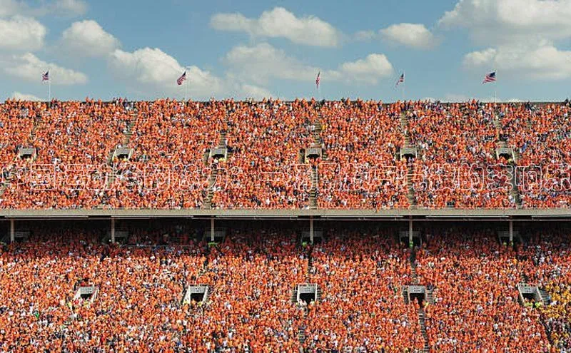 门徒娱乐在线登录