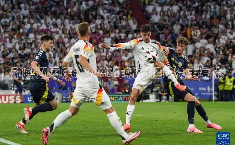 门徒娱乐平台登录入口