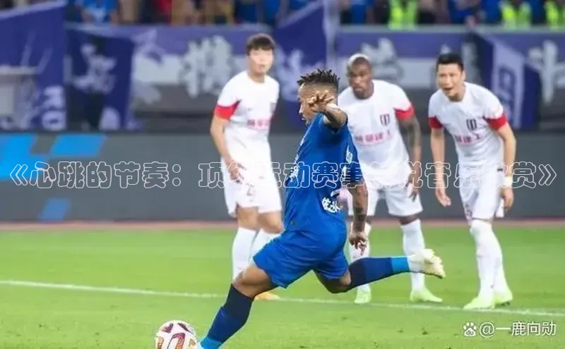 门徒平台登录地址