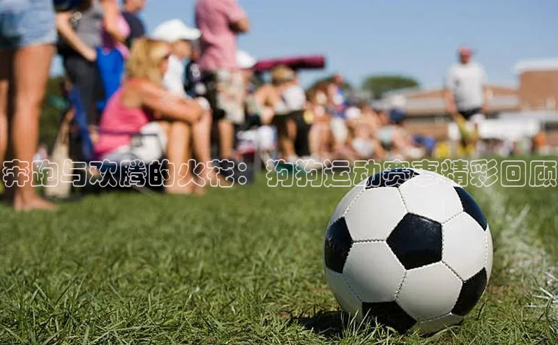 门徒注册登录地址