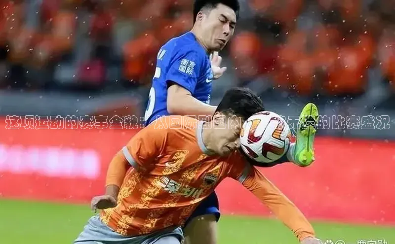 这项运动的赛事全貌：从国际到国内，一览无遗的比赛盛况